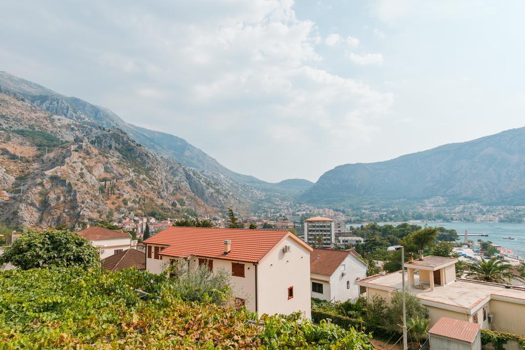 Apartments Los Olivos Kotor Luaran gambar